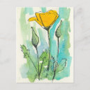 Recherche de crapaud cartes postales Pavot