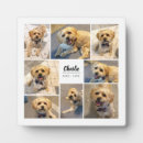Recherche de animaux plaques Chien