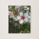 Zoek naar bloesems puzzels Pretty