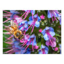 Recherche de cycle de vie posters Nature