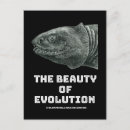 Recherche de evolution cartes postales Darwin