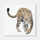 Recherche de chat peint magnets Peinture