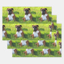Recherche de boxe papier cadeau Amoureux des chiens