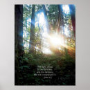 Recherche de arbre spirituel posters Forêt