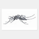 Recherche de moustiques autocollants Insecte