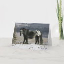 Zoek naar sneeuw paard kaarten Ruiter