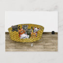 Recherche de stries cartes postales Chaton