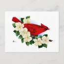 Recherche de cardinal nord cartes postales Jardin