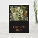 Zoek naar bijen kaarten Insect