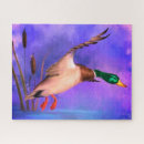 Recherche de canard de vol Coucher de soleil