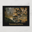 Recherche de serpents cartes postales Reptiles