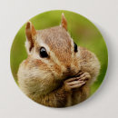 Recherche de oh badges Animal