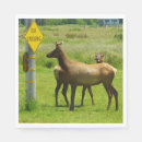 Zoek naar eland servetten Wild