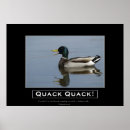 Recherche de canard posters Faune