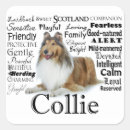 Recherche de rugueux autocollants Animal