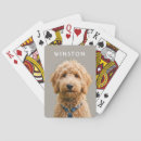 Recherche de chiens jeux de cartes Pour tous