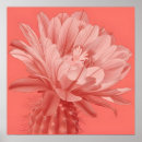 Recherche de fleurs exotiques posters Fleur exotique
