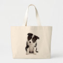 Recherche de border collie sacs Chiot
