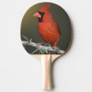 Recherche de cardinalis de cardinalis Couleur
