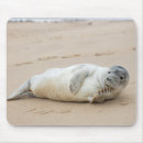 Recherche de phoque tapis souris Sceau