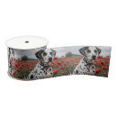 Recherche de de chien rubans Animal