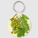 Zoek naar druiven accessoires Botanisch