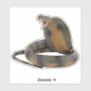 Recherche de peau serpent de autocollants Reptile