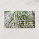 Recherche de aiguille cartes visite Nature
