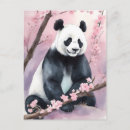 Recherche de ours panda cartes postales Chine