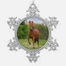 Recherche de poneys ornements Pour elle
