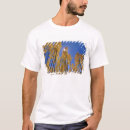 Recherche de trembles tshirts Arbre