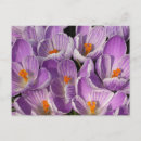 Recherche de beau pourpre posters Motif
