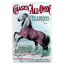 Recherche de horse magnets Équitation
