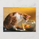 Zoek naar grappige goudvis posters Gezelschapsdieren