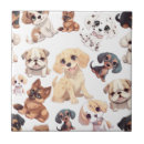 Recherche de chien de caniche carreaux Dog