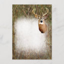 Recherche de chasse de cerfs communs invitations Pays