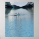 Zoek naar fuut posters Water