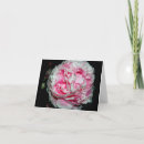 Recherche de macro roses vœux cartes Printemps