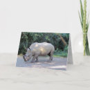 Recherche de rhino vœux cartes Nature