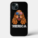 Recherche de cocker américain Usa