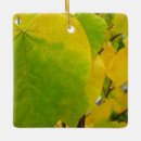 Recherche de feuille rouge ornements Pour tous