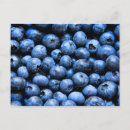 Recherche de bleuets cartes postales Sucré