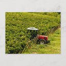 Recherche de rameurs cartes postales Homme