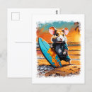 Recherche de hamsters cartes postales Animal