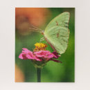 Recherche de grand papillon puzzles Jaune