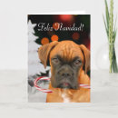 Zoek naar boxer dog kaarten Bokser