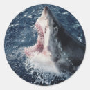 Recherche de grand format autocollants Délimiteur danita