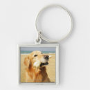 Recherche de image de golden retriever Vertical