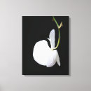 Recherche de fleurs noires et blanches toiles Pour elle