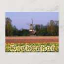 Recherche de bulbe cartes postales Fleurs